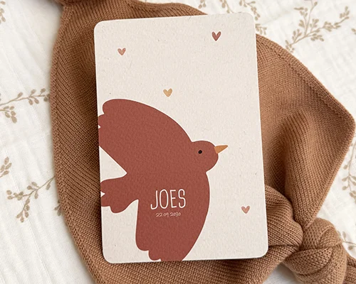 De nieuwste geboortekaartjes volgens de laatste trends voor een jongen