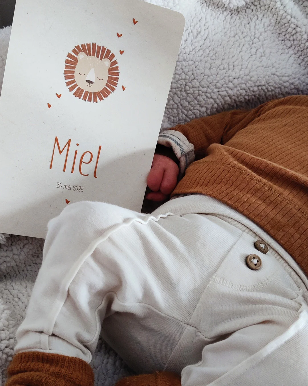 babyfoto geboortekaartje jongen met leeuw
